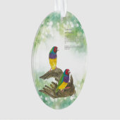 手カラフル色彩の鮮やか絶滅危惧種フィンチ オーナメント (正面)