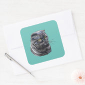 手スケッチおもしろいふわふわ黒毛色のブリティッシュ猫。 スクエアシール (封筒)