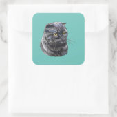 手スケッチおもしろいふわふわ黒毛色のブリティッシュ猫。 スクエアシール (バッグ)