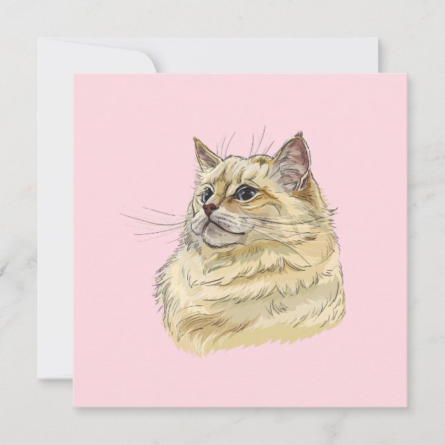 手スケッチおもしろいフワフワのラグドール猫 (正面)