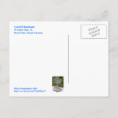 手作カラフルり木製シンボルや象徴/ラムPT., GR.CAYMAN ポストカード (裏面)