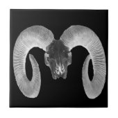 手作ユニークりヤギスカル タイル (正面)