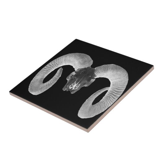 手作ユニークりヤギスカル タイル (側面)