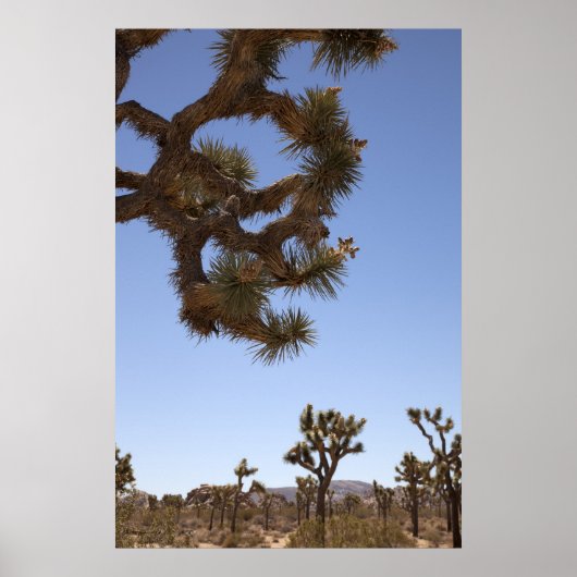 手前に下 ポスター (正面)