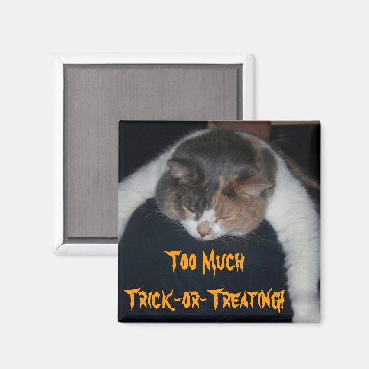 手品か手品か マグネット (正面/裏面)