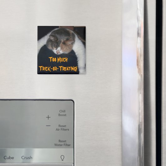 手品か手品か マグネット (インサイチュ (冷蔵庫))