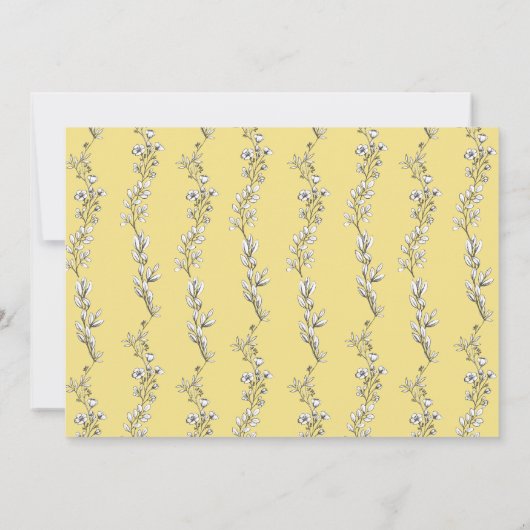 手図解入りの、写真付きのフローラ数々の写真科 案内状 (裏面)