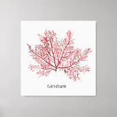 手引きギリギウム海藻 キャンバスプリント (正面)