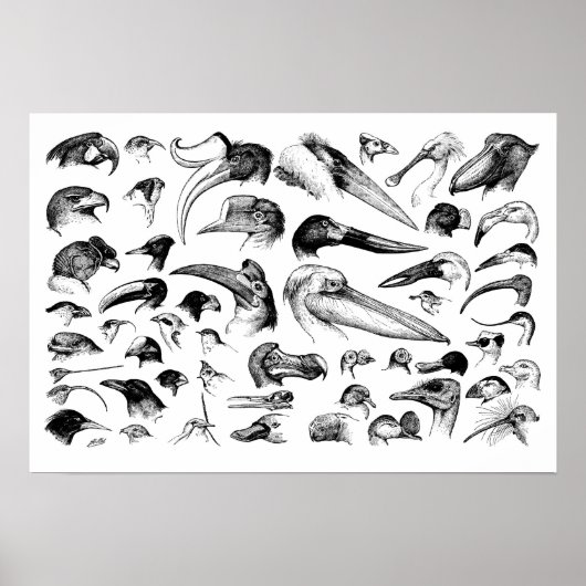 手形表 ポスター (正面)