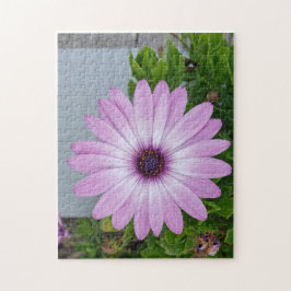 手得の花パズル ジグソーパズル