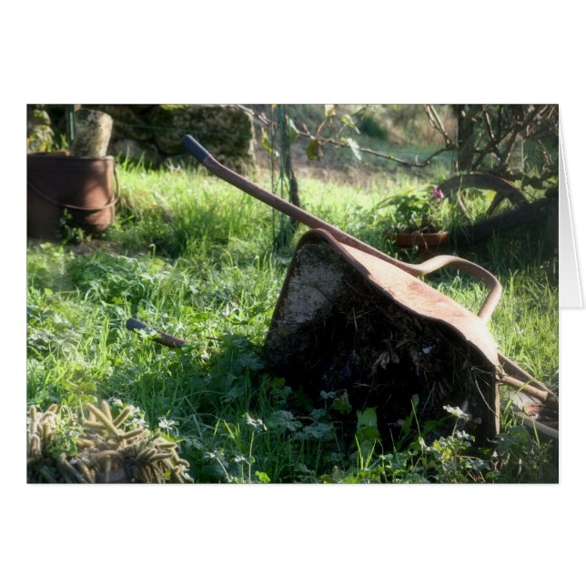 手押し車 (正面横)