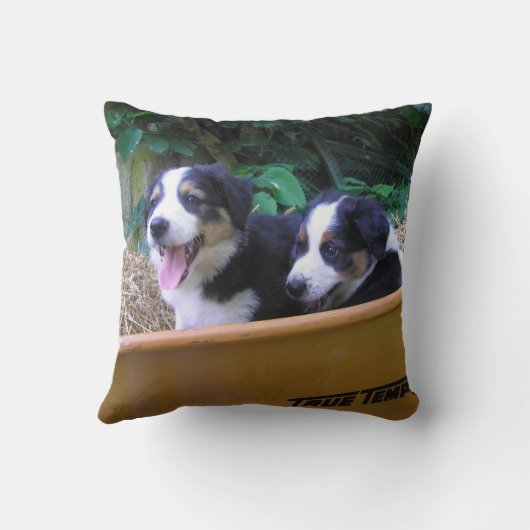 手押し車 クッション (裏面)