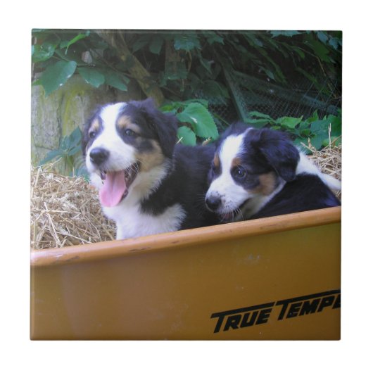 手押し車 タイル (正面)