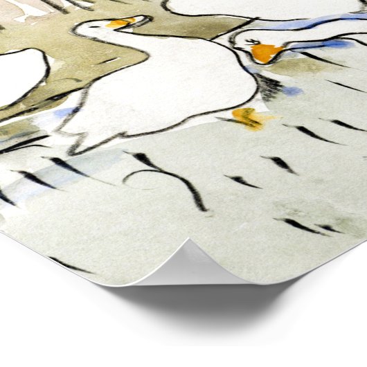 手描きかわいいアヒルの写真ホワイトアヒルのクリップアートファム ポスター (角)