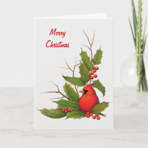 手描きのクリスマスのイラストレーション: ヒイラギ、(鳥)ショウジョウコウカンチョウ シーズンカード