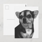 手描きのチワワの表情 ポストカード (正面/裏面)