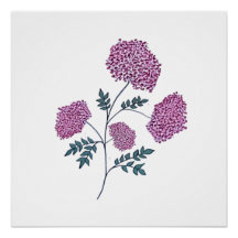 手描きのピンクの花、優雅な植物の春