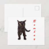 手描きのボンベイ猫の面白い日本ギフト 父 母 ポストカード (正面/裏面)