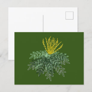 手描きのマホニア属の植物のイラスト グリーン ポストカード