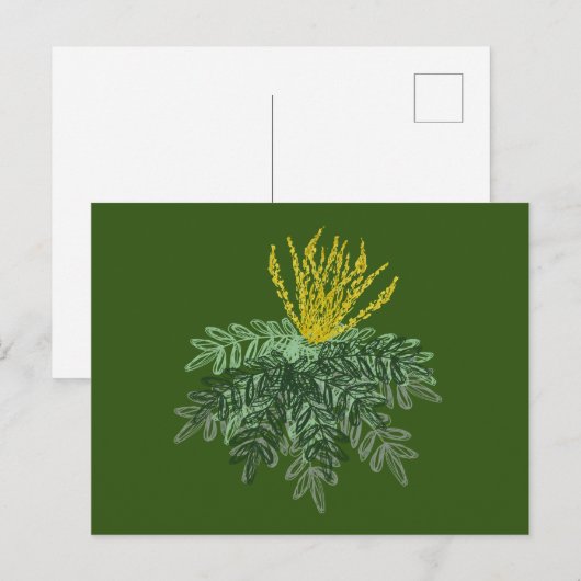 手描きのマホニア属の植物のイラスト グリーン ポストカード (正面/裏面)