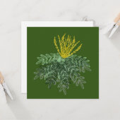 手描きのミズヒキノキ(マホニア・アキリフォリウム)の植物画 グリーン カード (正面/裏面インサイチュ)