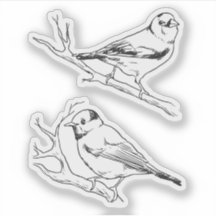 手描きのモダンな自然の鳥 黒と白