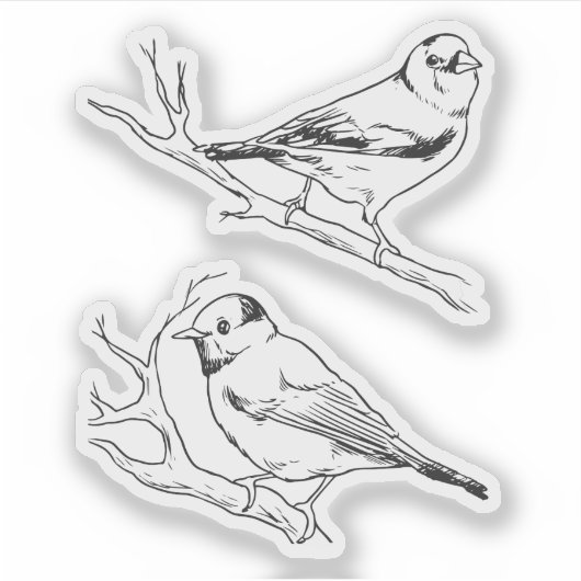 手描きのモダンな自然の鳥 黒と白 シール (正面)