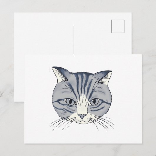 手描きの猫 ポストカード (正面/裏面)