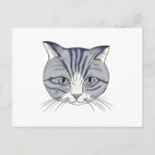 手描きの猫 ポストカード (正面)