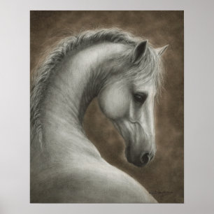 手描きの白馬の肖像画 ポスター