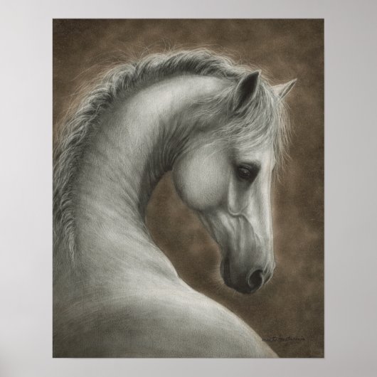 手描きの白馬の肖像画 ポスター (正面)
