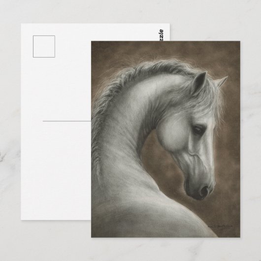 手描きの白馬の肖像画 ポストカード (正面/裏面)