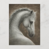 手描きの白馬の肖像画 ポストカード (正面)