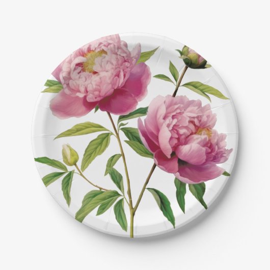 手描きの美しいピンクの芍薬　価格が下がる ペーパープレート (正面)