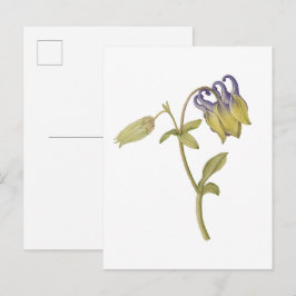 手描きの西洋オダマキの花 ポストカード