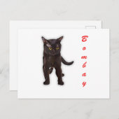 手描きの面白いボンベイキャット日本ギフトお父さんお母さん ポストカード (正面/裏面)