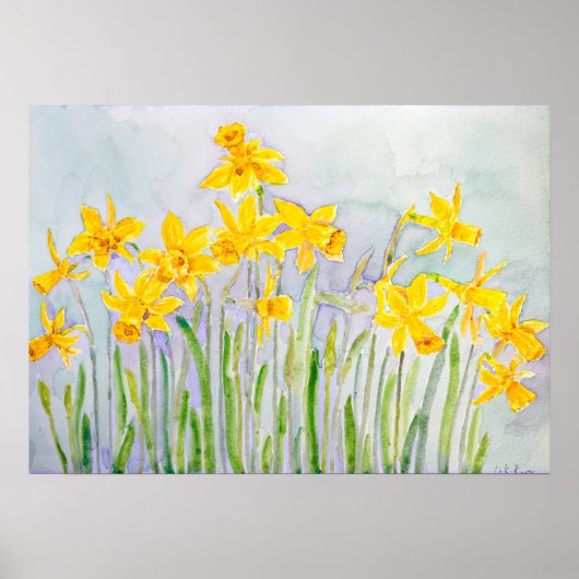 手描きの黄色い水仙の花畑の水彩画 ポスター (正面)