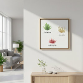 手描きクラドホラ、エクトカルパスワカメ キャンバスプリント