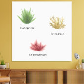 手描きクラドホラ、エクトカルパスワカメ キャンバスプリント (インサイチュ (リビング))