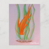 手描きコイ鯉 ポストカード (正面)