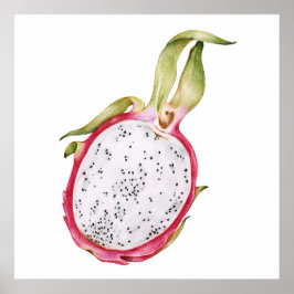 手描きドラゴンフルーツイラストレーション ポスター
