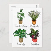 手描きハウスプラントアート ポストカード (正面/裏面)