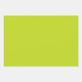 手描きフラワーフラットシートラッピング紙 ラッピングペーパーシート (正面3)