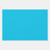 手描きフラワーフラットシートラッピング紙 ラッピングペーパーシート (正面2)