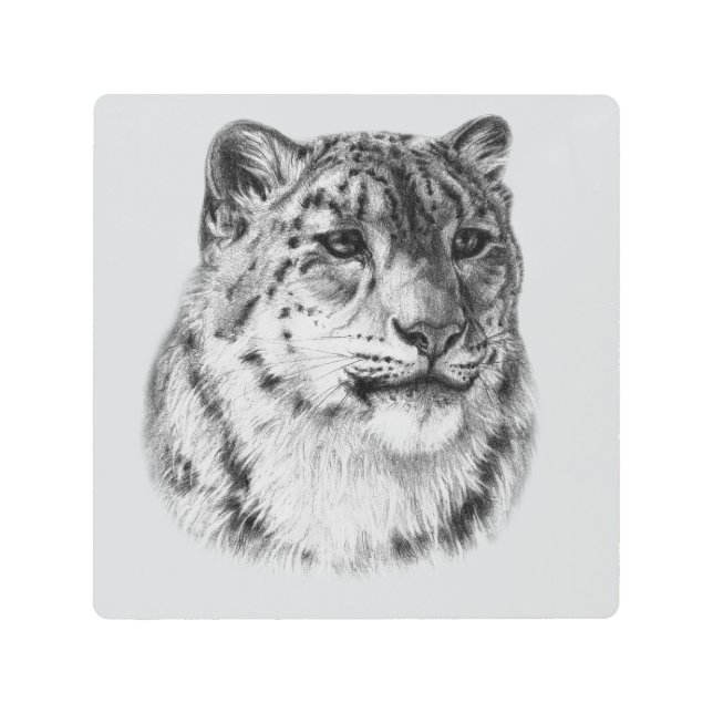 手描きユキヒョウ メタルプリント (正面)