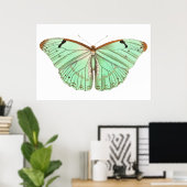 手描きラエルテスバタフライヴィンテージイラストレーション ポスター (ホームオフィス)