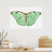 手描きラエルテスバタフライヴィンテージイラストレーション ポスター (キッチン)