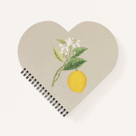手描きレモン ノートブック (正面)