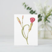 手描き咲きピンクのディアンサスの花 ポストカード (スタンド正面)