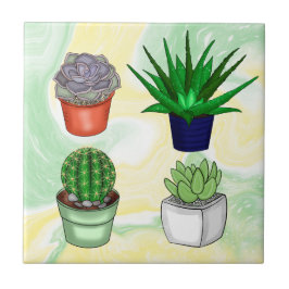 手描き多肉株 タイル
